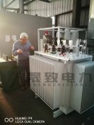 油浸式變壓器中性點接地和不接地的區(qū)別